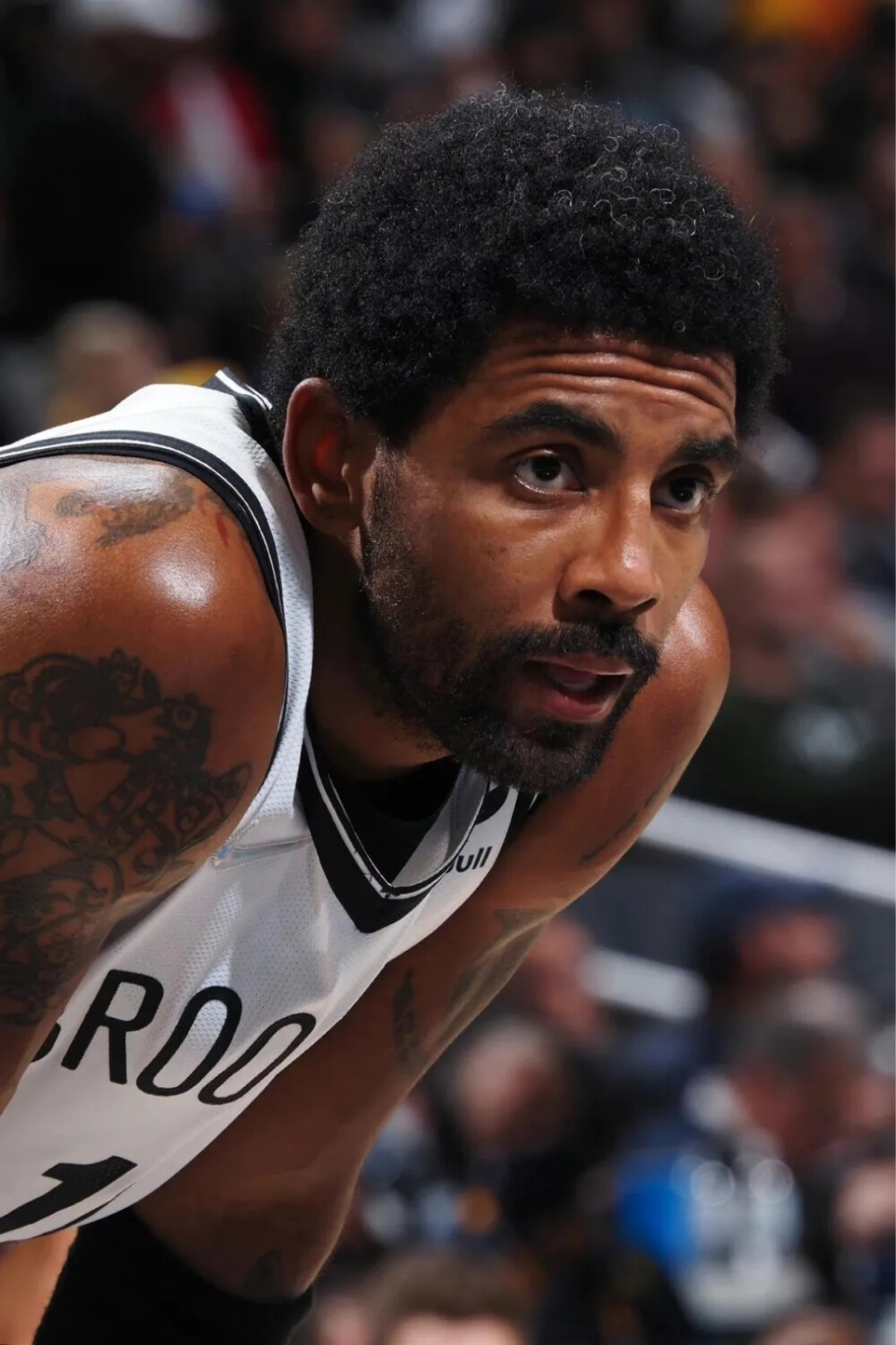 也为音乐爱 也为音乐爱